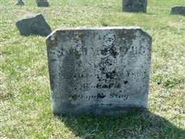 Solomon Zook