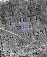 Son McNutt
