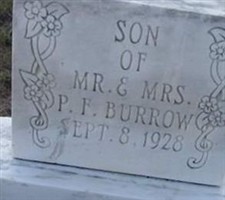 Son Of P F Burrow Son Of P F Burrow