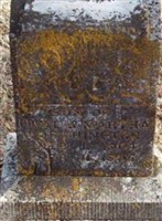Son Worthington