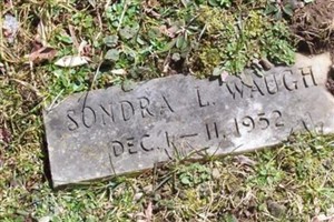 Sondra Lynn Waugh Sondra Lynn Waugh