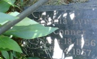 Sonia Lynn Conner