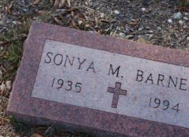 Sonya M Barnes