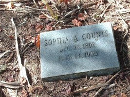 Sophia A Counts Sophia A Counts