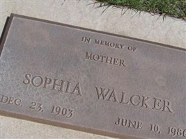 Sophia Ann Fandrick Walcker