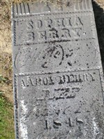 Sophia Beery