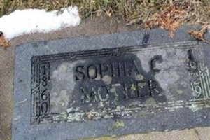Sophia C. Johnson Sophia C. Johnson