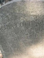 Sophia Cottingham Robinson