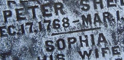 Sophia Dominick Shell
