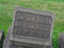 Sophia Hahn Sophia Hahn