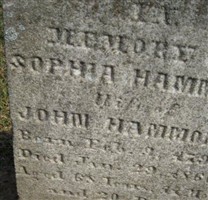 Sophia Hammond Sophia Hammond