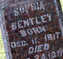 Sophia Hardin Bentley Sophia Hardin Bentley