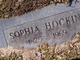 Sophia Hockin Sophia Hockin