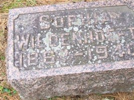 Sophia Krawkon, Hansen Wiedenhoeft Sophia Krawkon, Hansen Wiedenhoeft