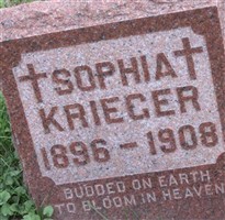 Sophia Krieger Sophia Krieger
