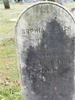 Sophia L Blish Gould Sophia L Blish Gould