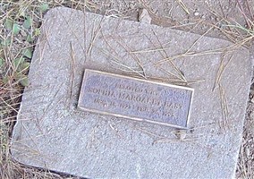 Sophia Margaret Bast Sophia Margaret Bast