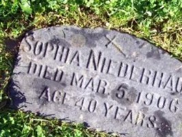 Sophia Niederhaus Sophia Niederhaus