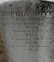 Sophia Royer