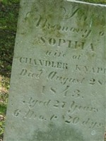 Sophia Sherly Knapp