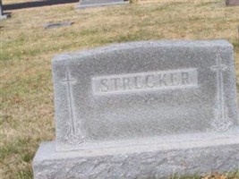 Sophia Strecker Sophia Strecker