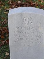 Sophia T Thomas