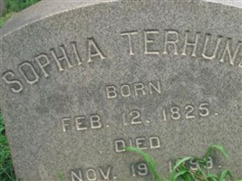 Sophia Terhune