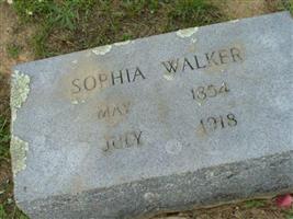 Sophia Walker