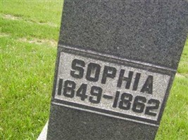 Sophia Winters Sophia Winters