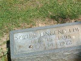 Sophie Lingenfelder Sophie Lingenfelder