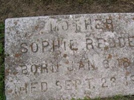 Sophie Redden