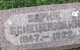 Sophie Scheuermann Sophie Scheuermann