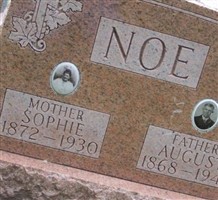 Sophie VanHootegem Noe