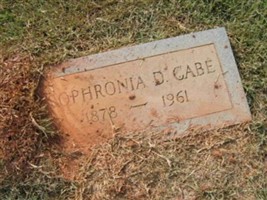 Sophronia Cabe