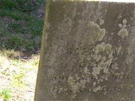 Sophronia Sears Miller Sophronia Sears Miller