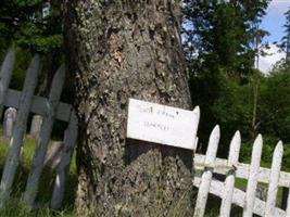 South Albany Cemetery