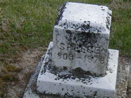 [________] Speece