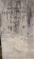 Spicer Hughes