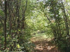 Spring Hill Cemetery