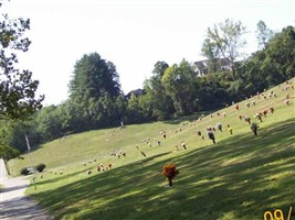 Spring Valley Memory Gardens