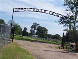 Springville Cemetery