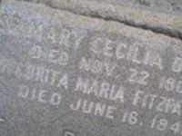 Sr Anita Maria Fitzpatrick Sr Anita Maria Fitzpatrick