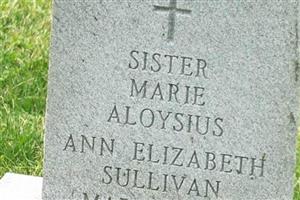 Sr Ann Elizabeth Sullivan