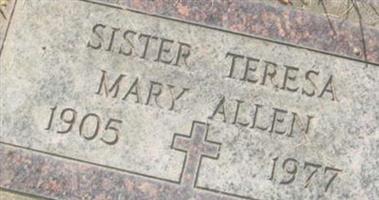 Sr Teresa Mary Allen