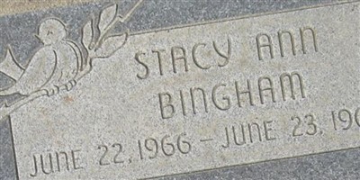 Stacy Ann Bingham