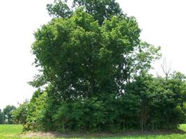 Stallcup Family Cemetery