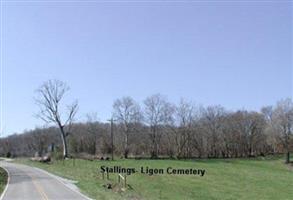 Stallings-Ligon Cemetery