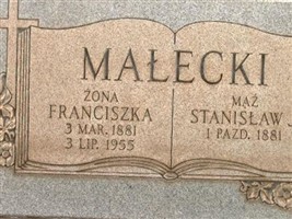 Stanislaw J Malecki