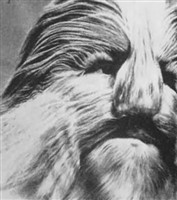 Stefan "Lionel The Lion-Face Man" Bibrowsky