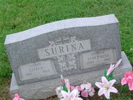 Stefan Surina Stefan Surina